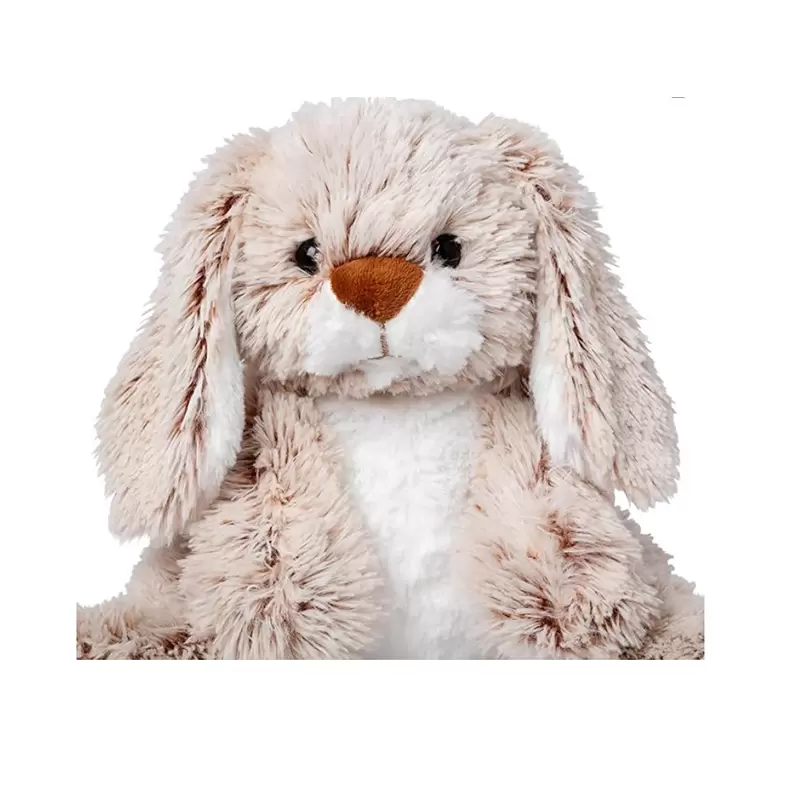 Long-eared rabbit